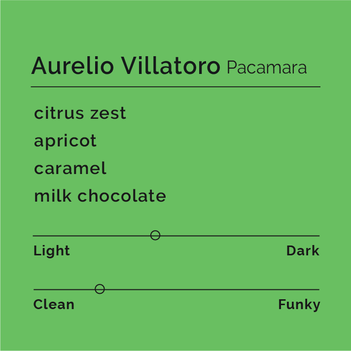 [B&W] Aurelio Villatoro Pacamara