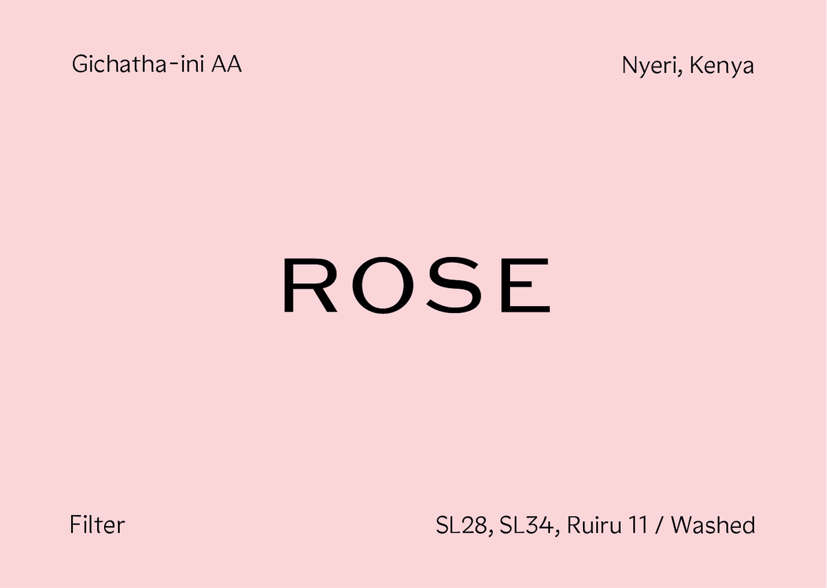 [ROSE] Kenya - Gichatha-ini AA