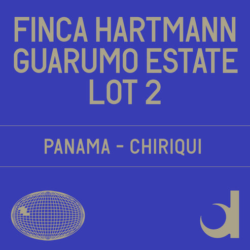 [Datura] Finca Hartmann LOT 2 Guarumo Estate Natural