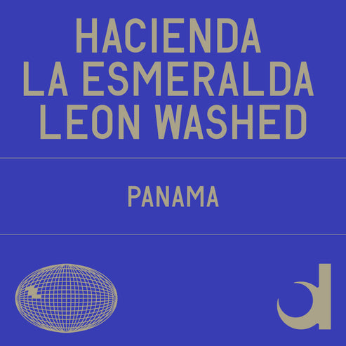 [Datura] Hacienda La Esmeralda Leon Washed
