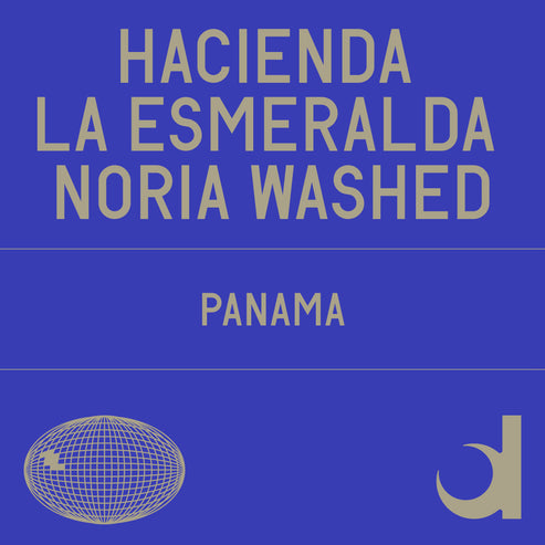[Datura] Hacienda La Esmeralda Noria Washed