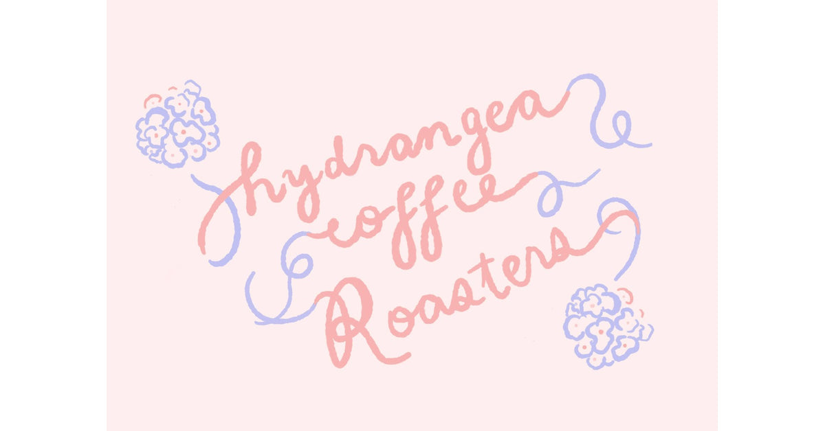 [HYDRAGENA] Sudan Rume Anaerobic Natural Finca Inmaculada