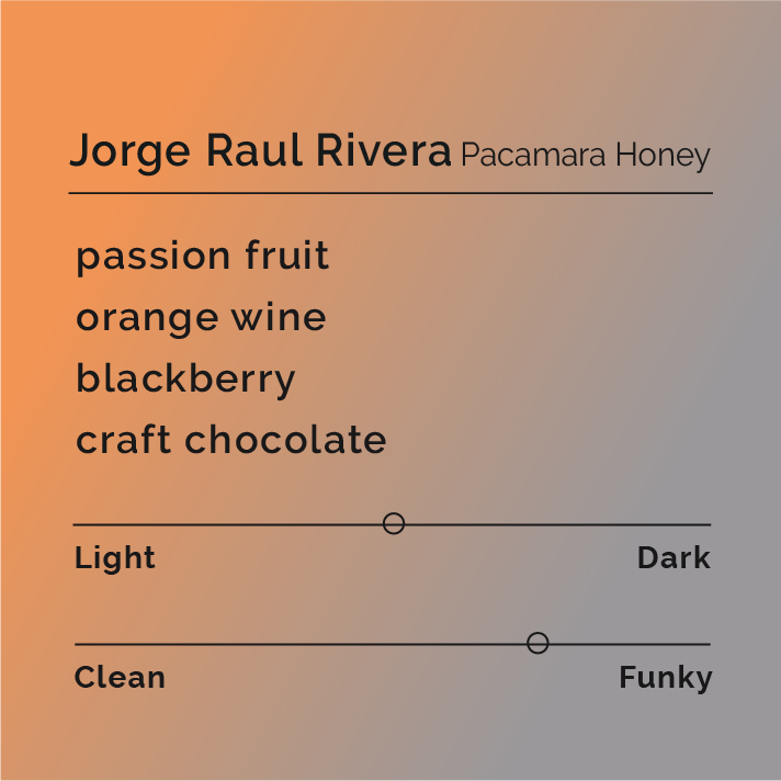 [B&W] Jorge Raul Rivera - Pacamara Honey