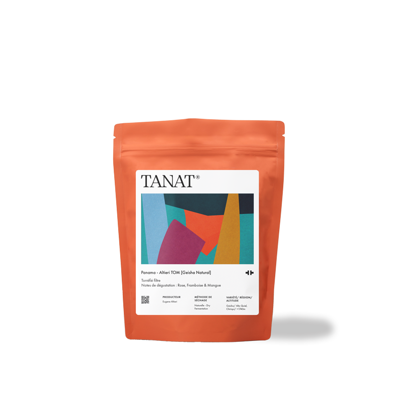 [KAWA] Altieri Tom Geisha Natural