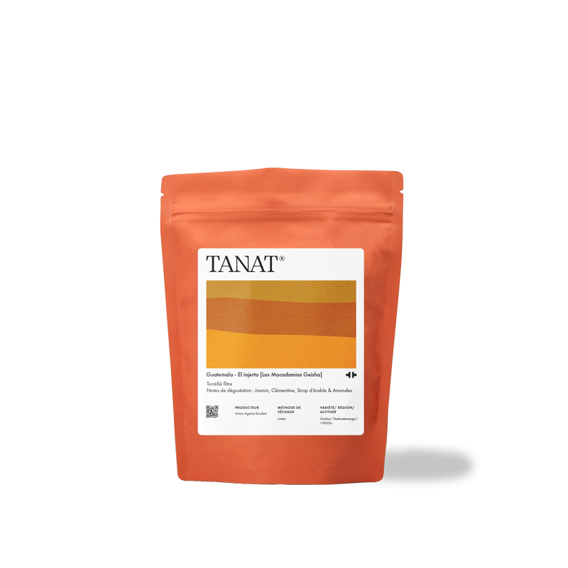 [KAWA] El Injerto [Las Macadamias Geisha]