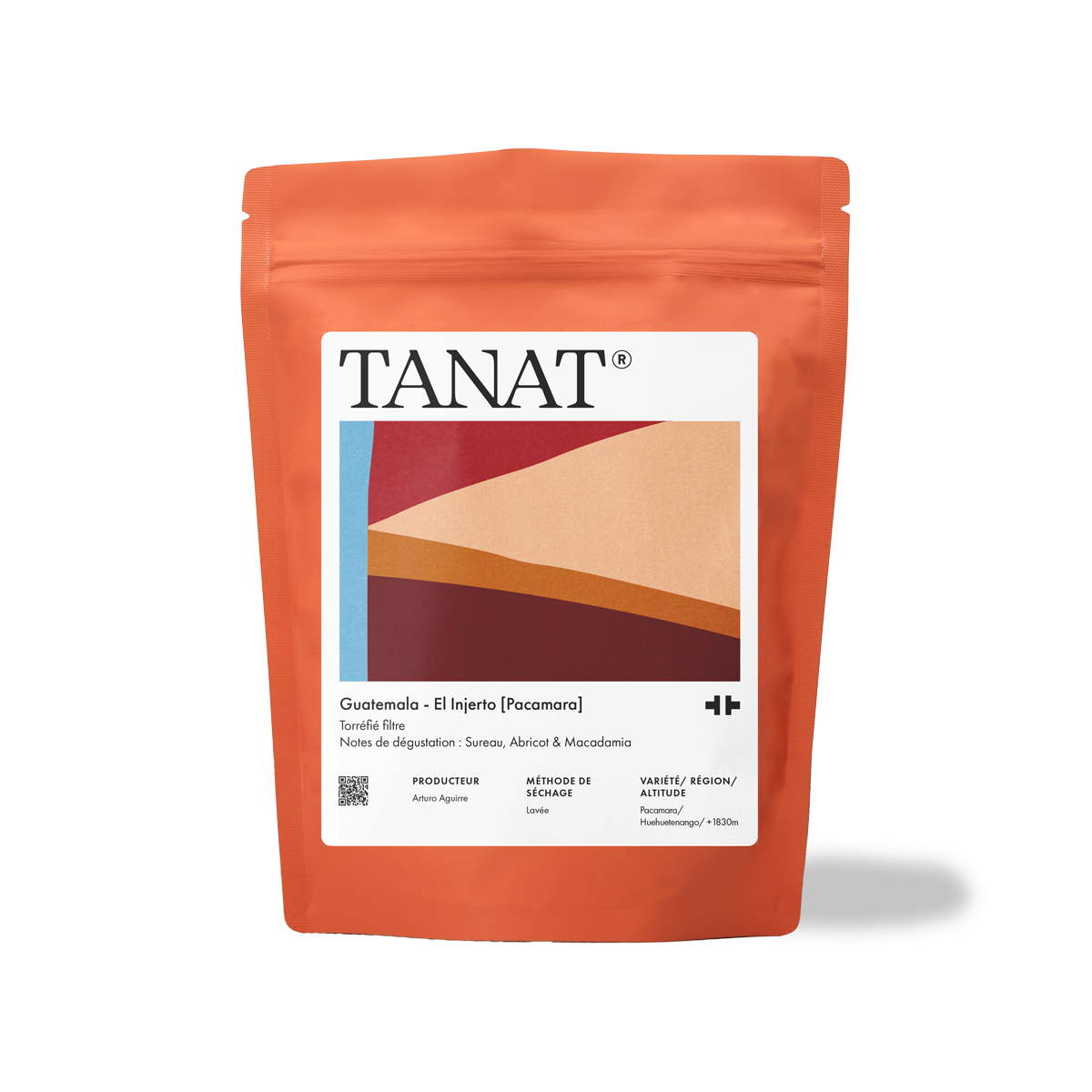 [KAWA] El Injerto [Pacamara]