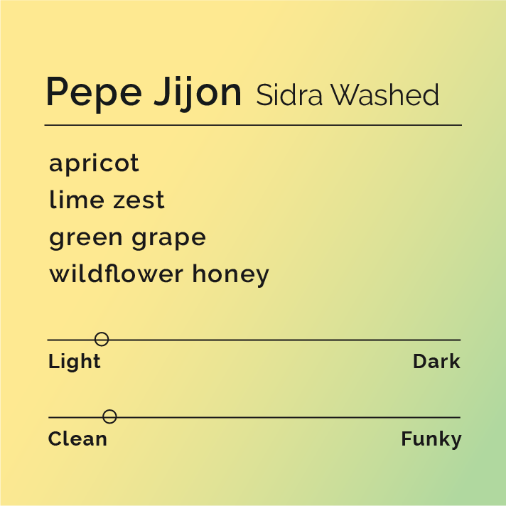 [B&W] Pepe Jijon Sidra Washed