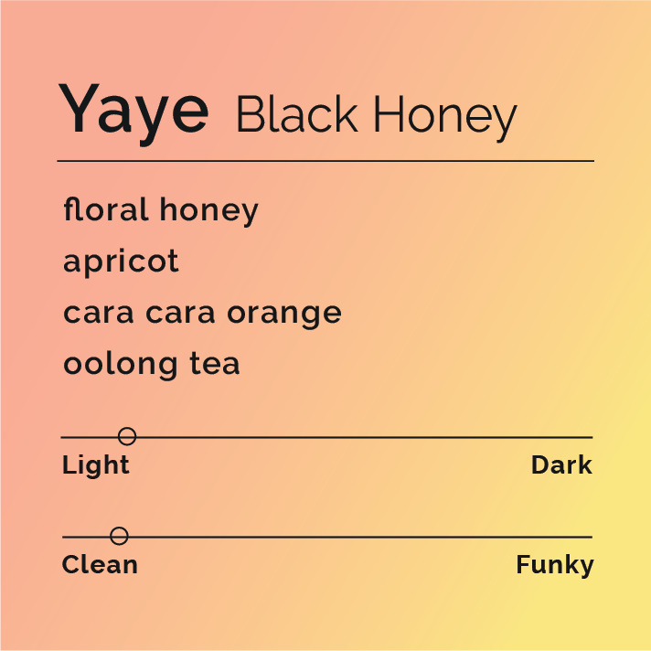 [B&W] Yaye Black Honey